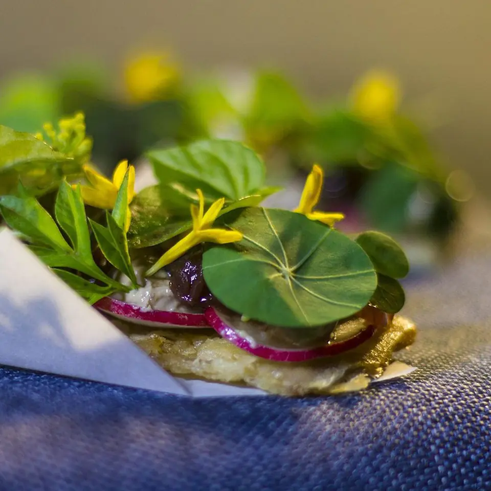 The amuse — nasturtium leaves and beet-pickled onion on a rice-paper crisp
